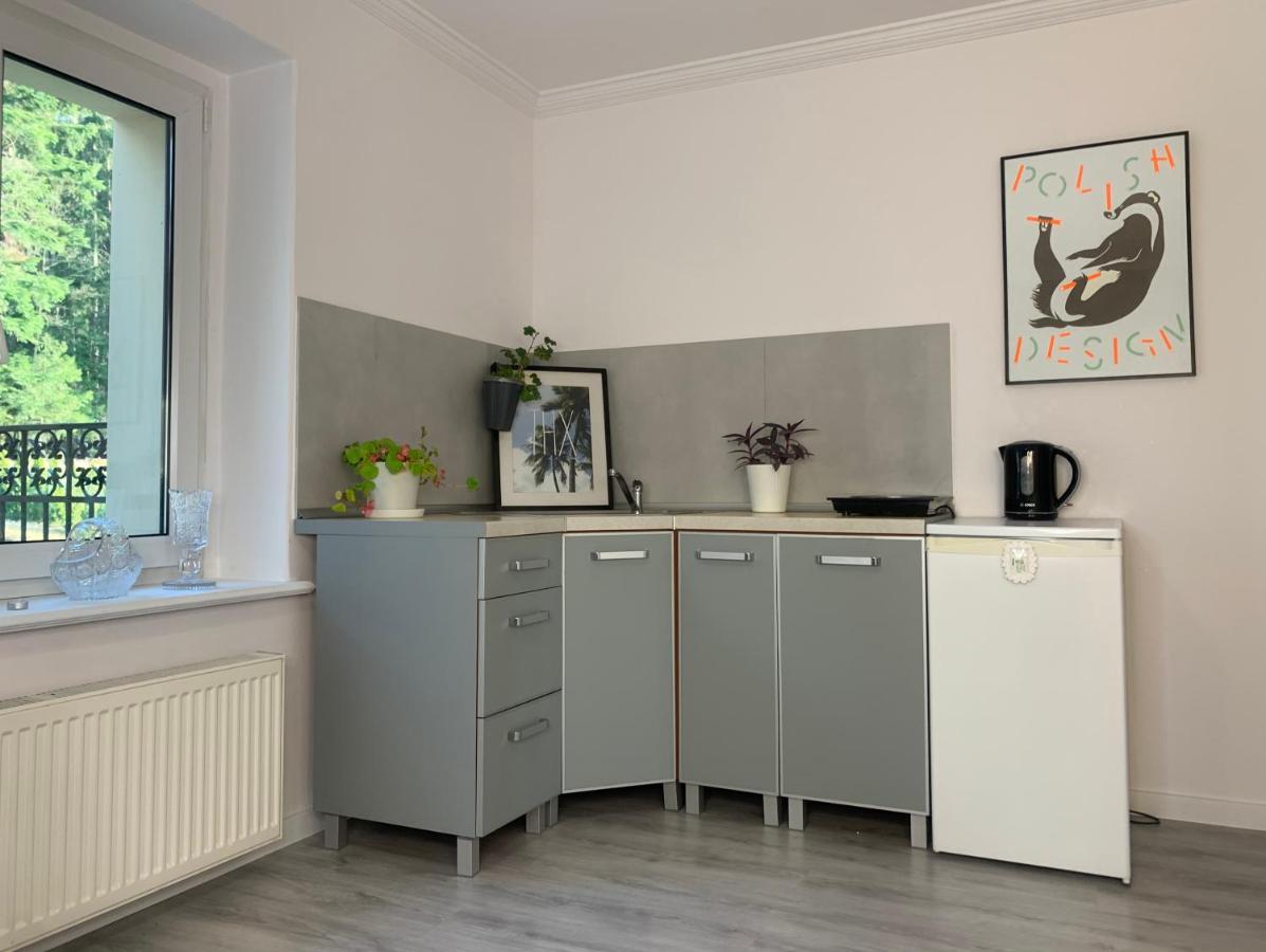 Apartament Lesny - Lesna 30 Kudowa-Zdrój Exteriér fotografie