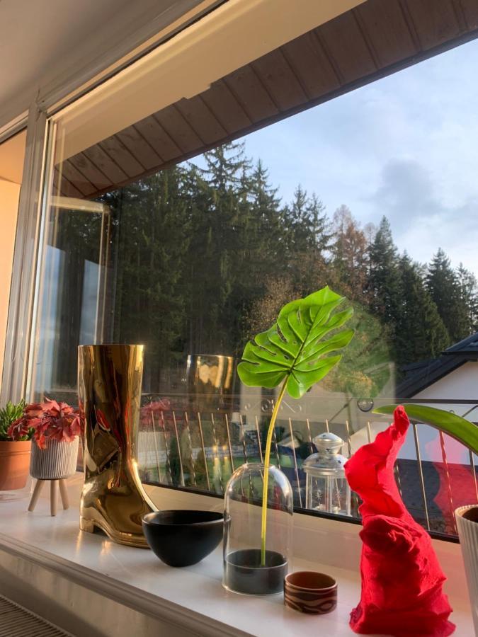 Apartament Lesny - Lesna 30 Kudowa-Zdrój Exteriér fotografie