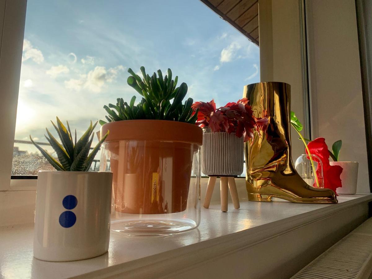 Apartament Lesny - Lesna 30 Kudowa-Zdrój Exteriér fotografie